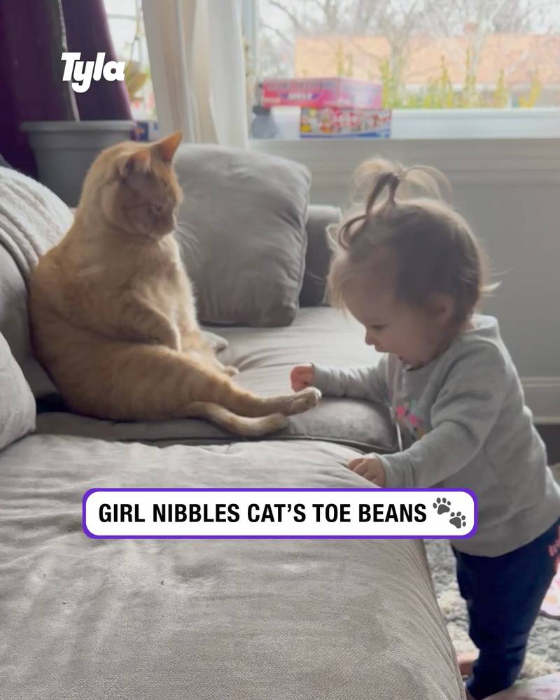 Girl Nibbles Cat's Toe Beans