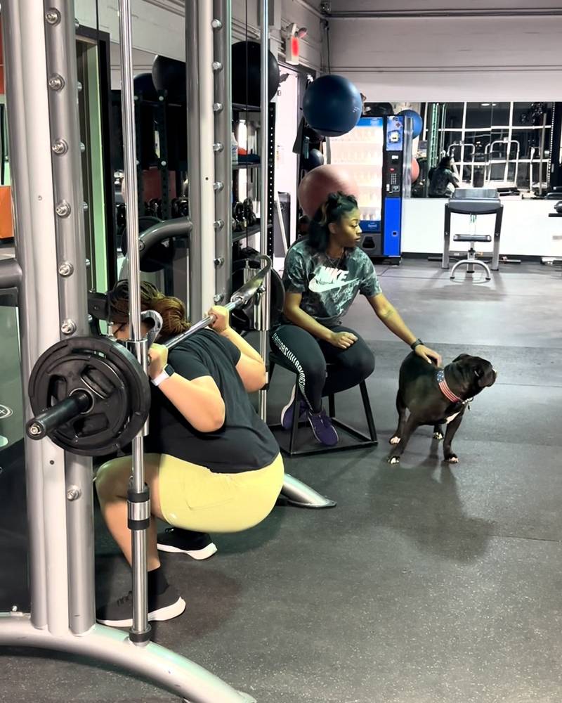 Woman Is Paying Attention To Dog Instead Of Friend's Failing Squat