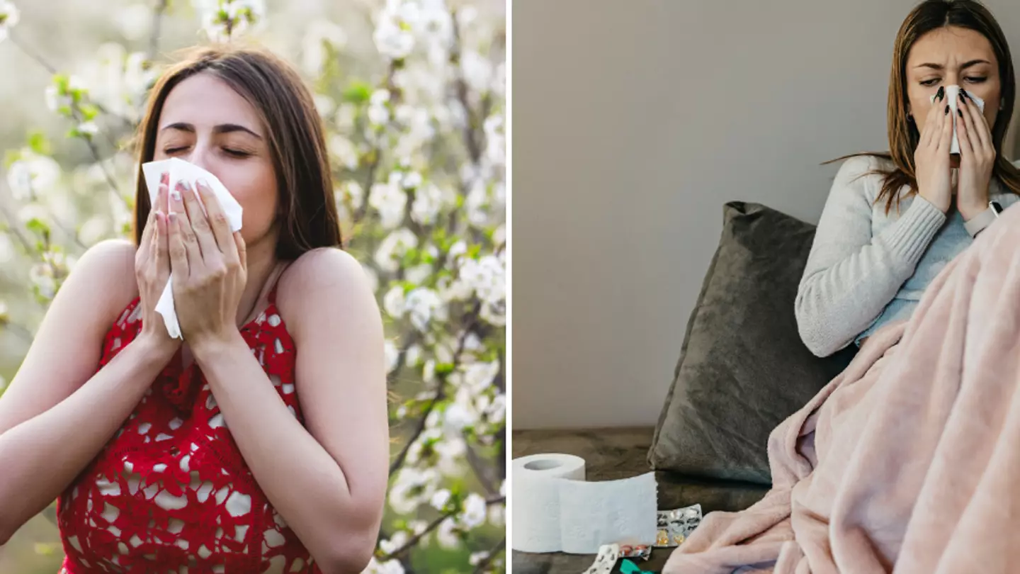 Two red flags to look out for that could mean your hay fever is actually something else
