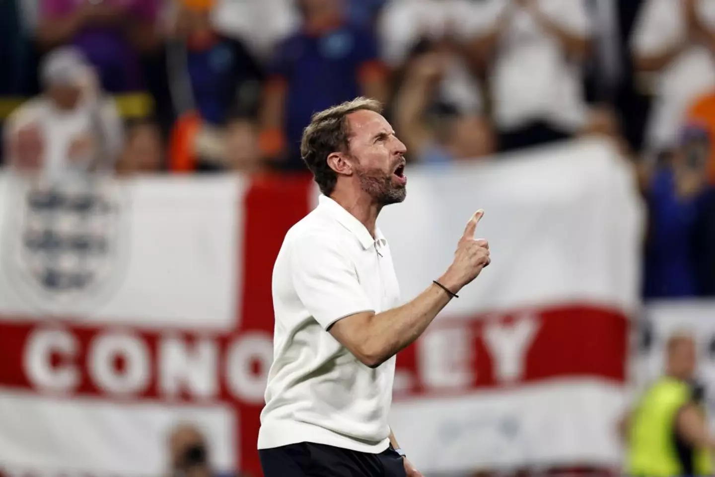 Gareth Southgate was excited about the goal last night (July 10). (ANP / Contributor / Getty Images)