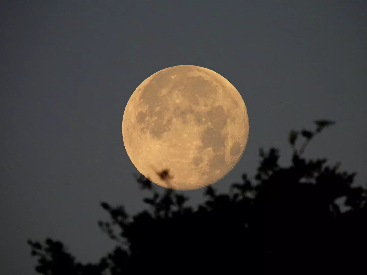 The full moon will rise on 23 May. (Getty Stock Photo)