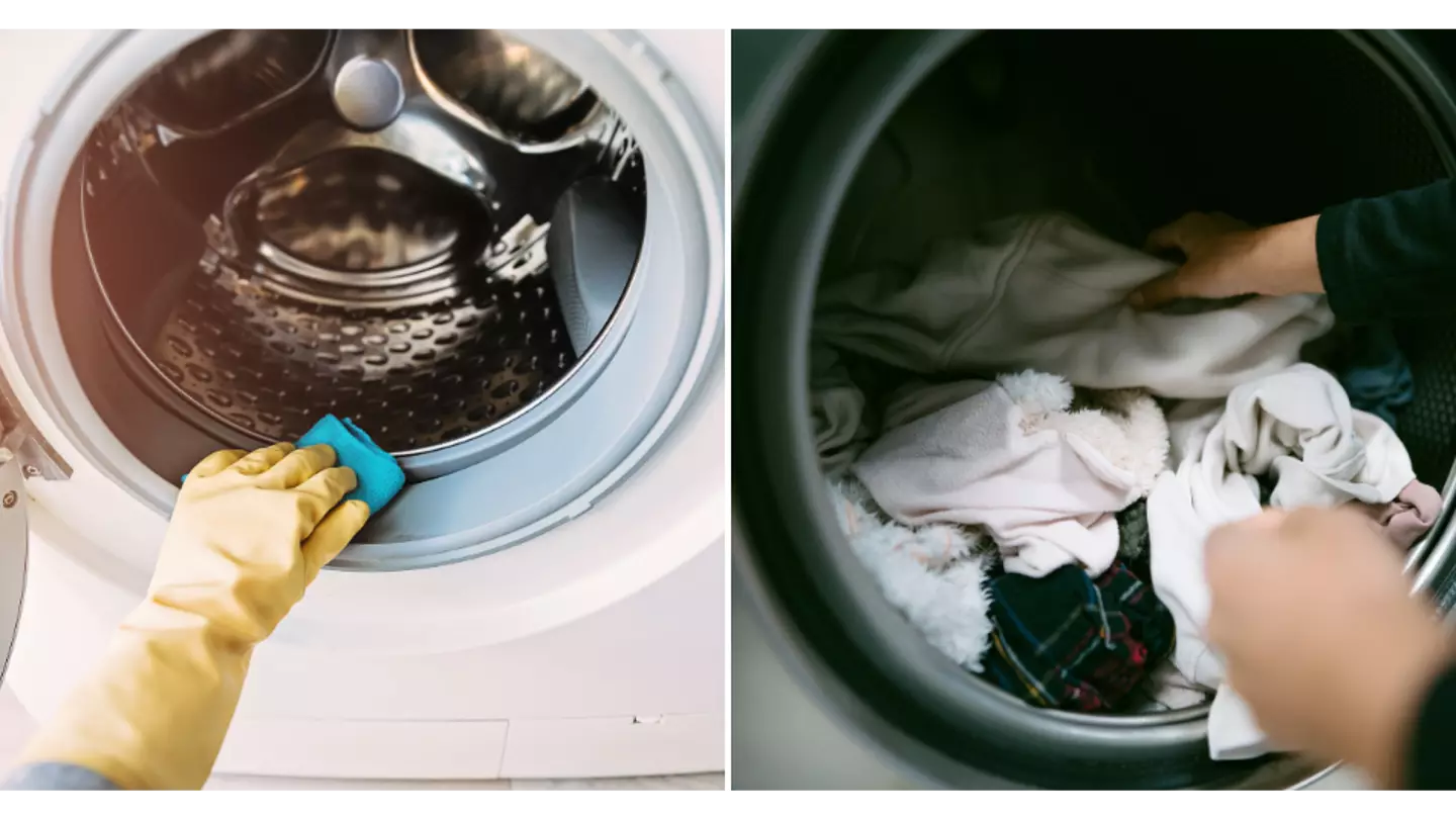 Woman shares gross washing machine warning after discovering ‘growth’ inside hers