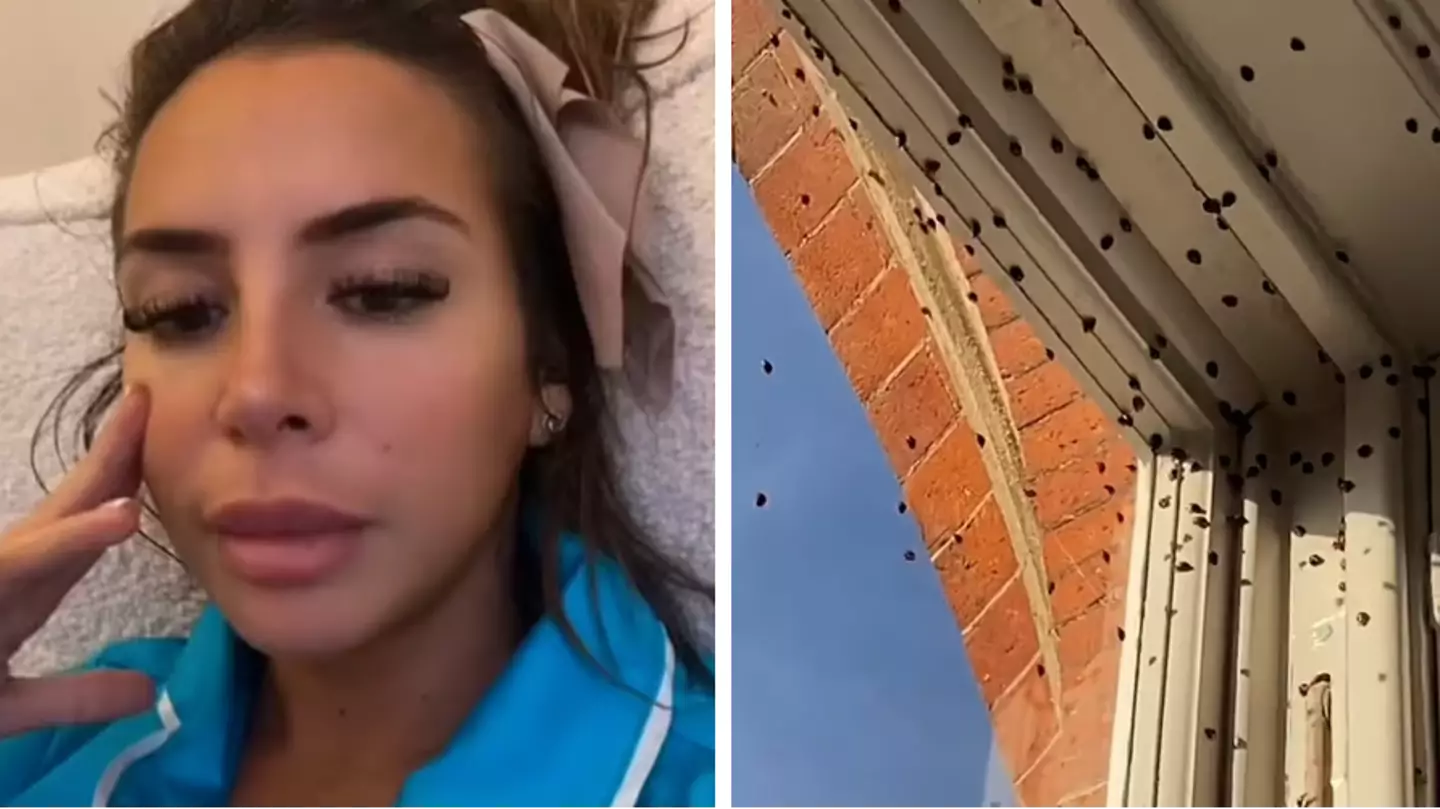 Ex-Love Island star 'hasn't slept in days' after thousands of ladybirds invaded her home