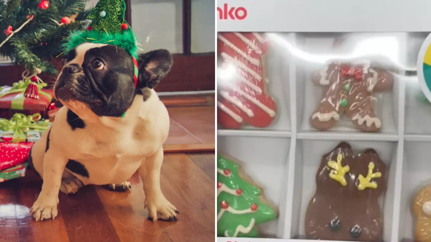 Expert issues urgent warning over three 'dreadful' new dog buys this Christmas