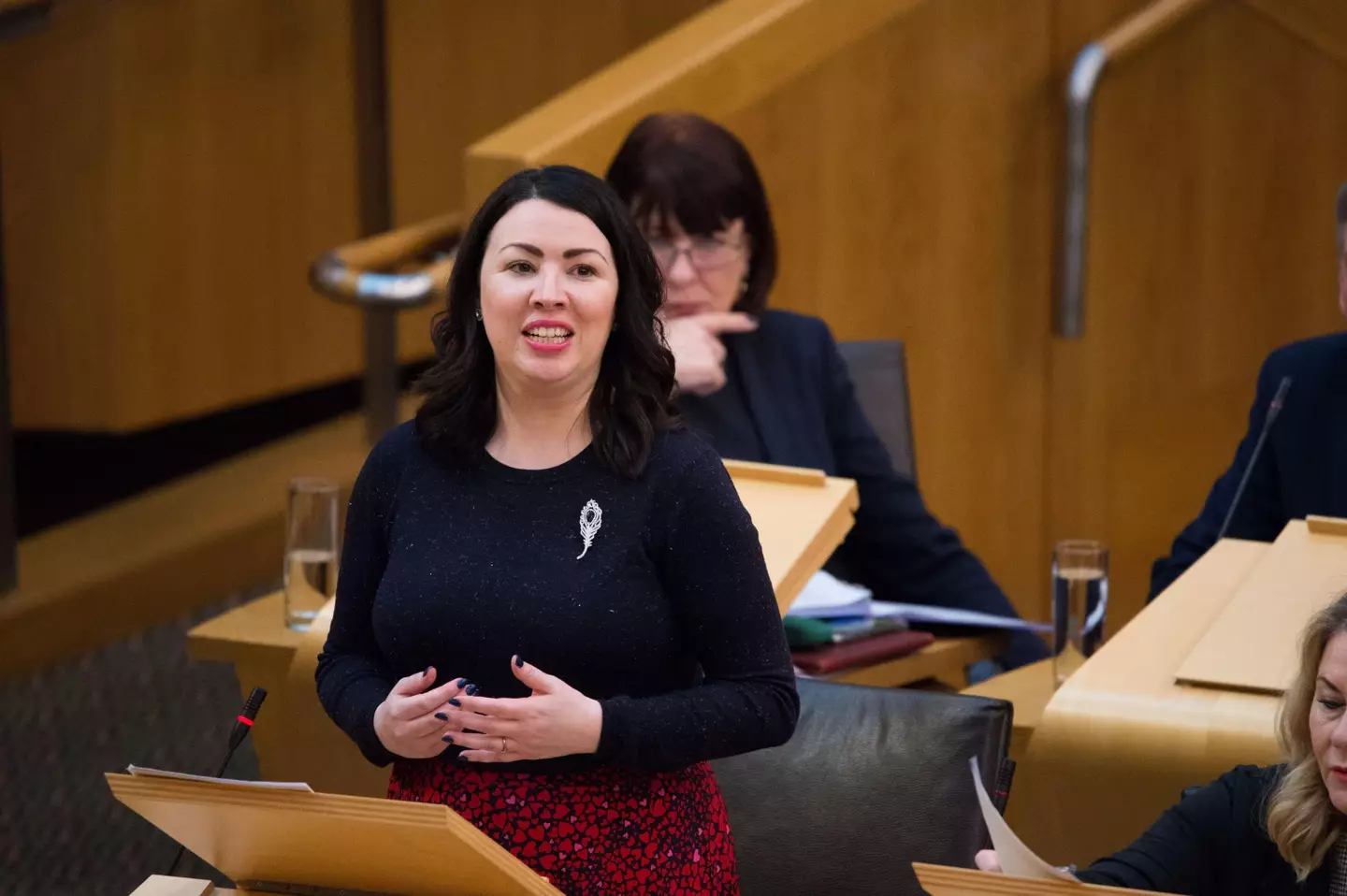 The new law was first proposed by Labour MSP Monica Lennon.