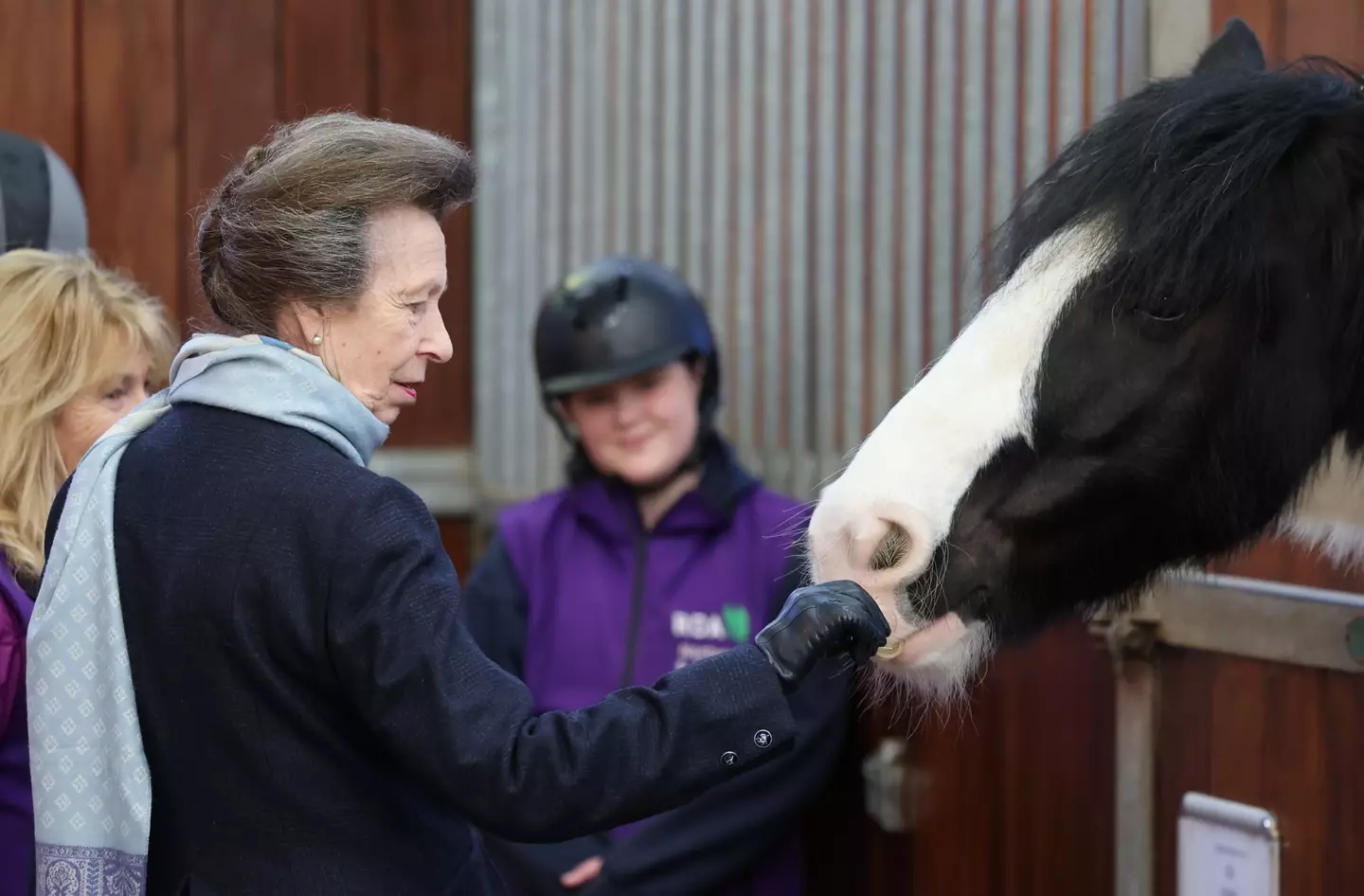 The Princess Royal is a keen equestrian. (Chris Jackson/Getty Images)
