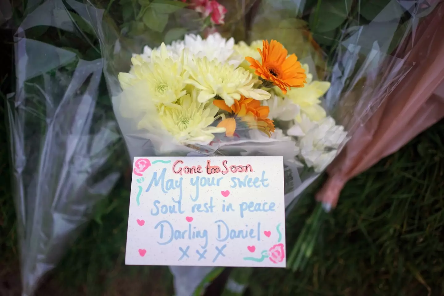 Daniel was a 'much-loved' pupil at his school. (PA)