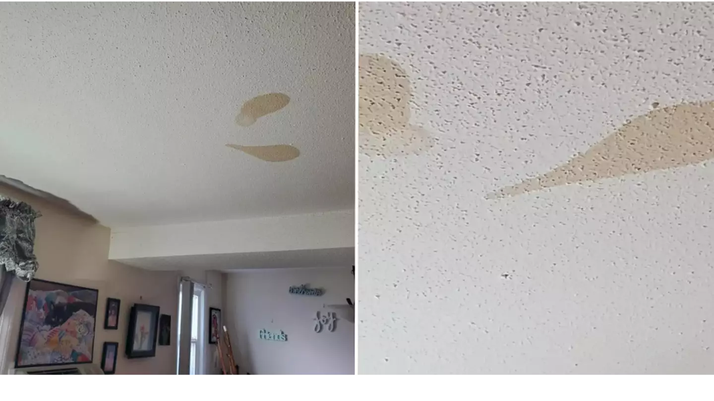 Woman left disgusted as she discovers brown stains on ceiling isn’t really mould