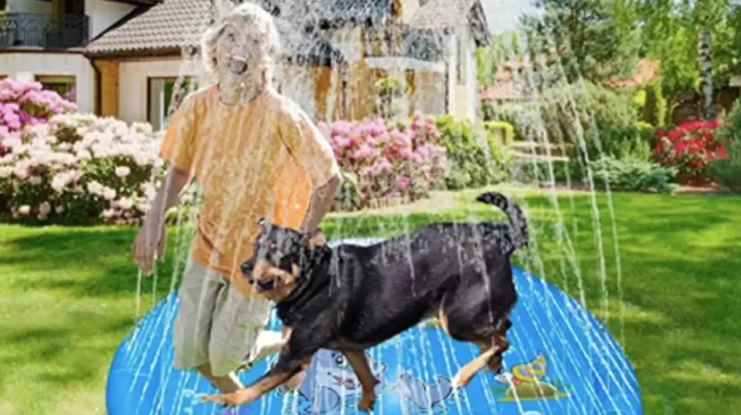 The sprinkler is available for pups to play with outside (