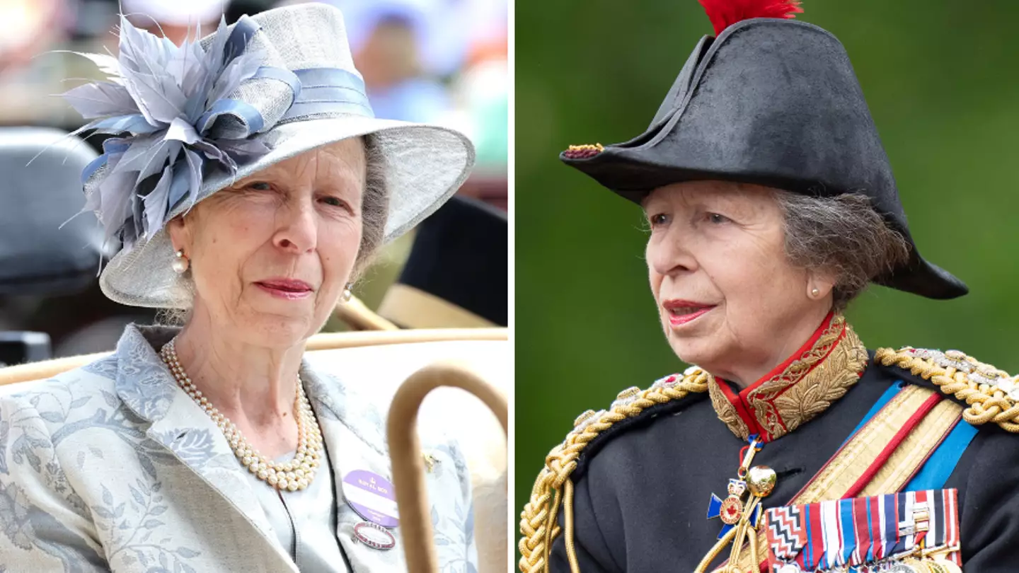 Princess Anne hospitalised following incident, Buckingham Palace announces