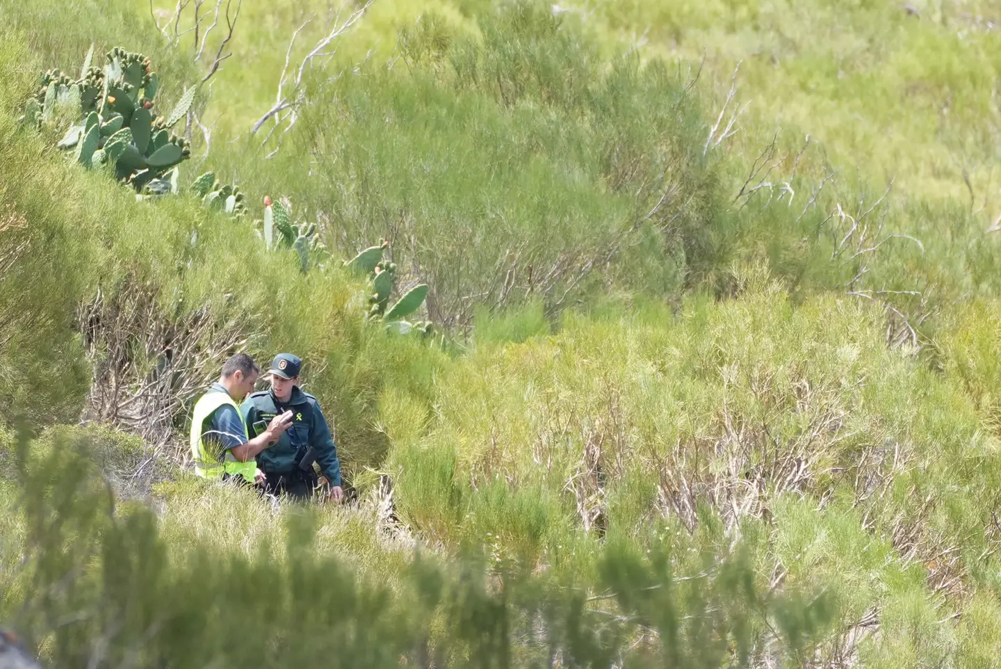 Members of the Guardia Civil searching near the last known location of Jay Slater (PA)