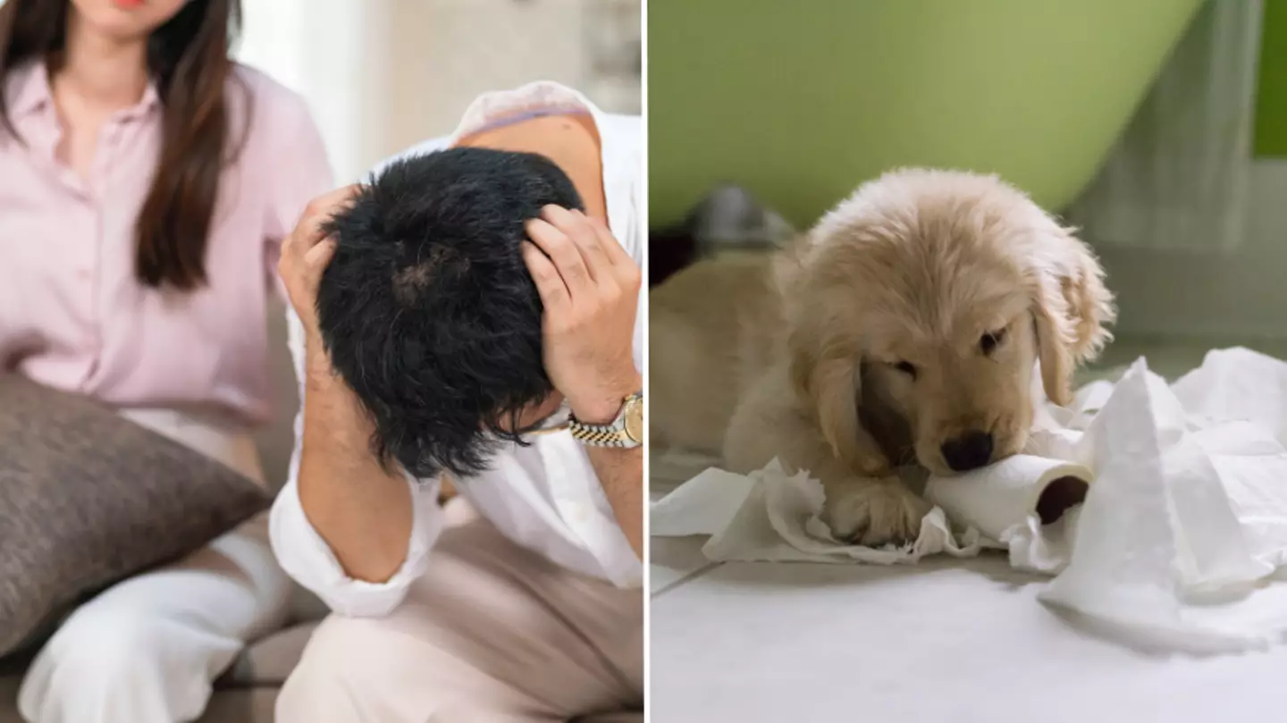 Woman's marriage torn apart after she returned dog because it was too much work