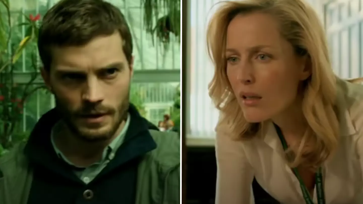 Netflix viewers praise ‘disturbing’ thriller starring Gillian Anderson and Fool Me Once’s Emmett J. Scanlan