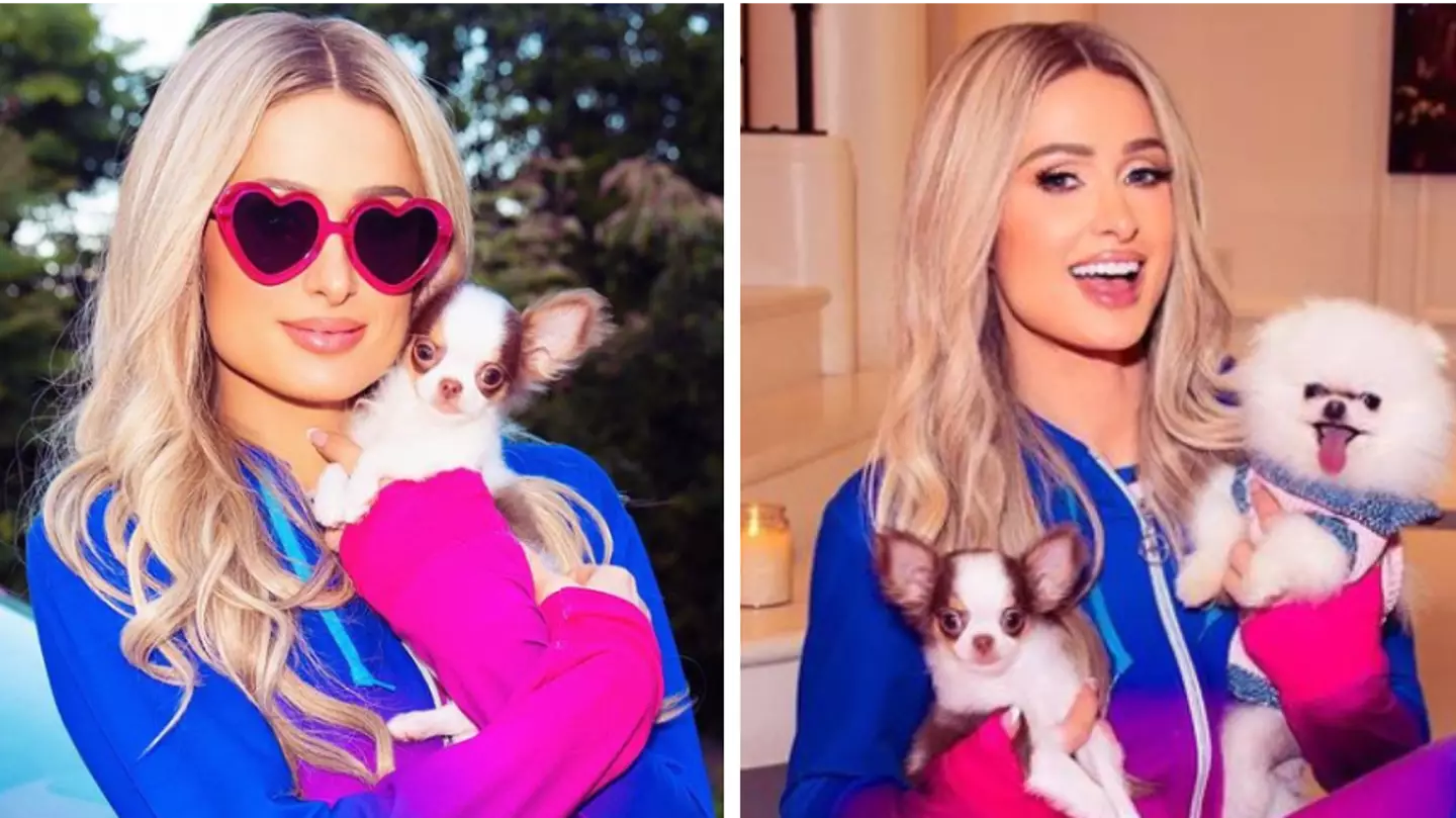 Paris Hilton called out by PETA after getting new puppy from breeder