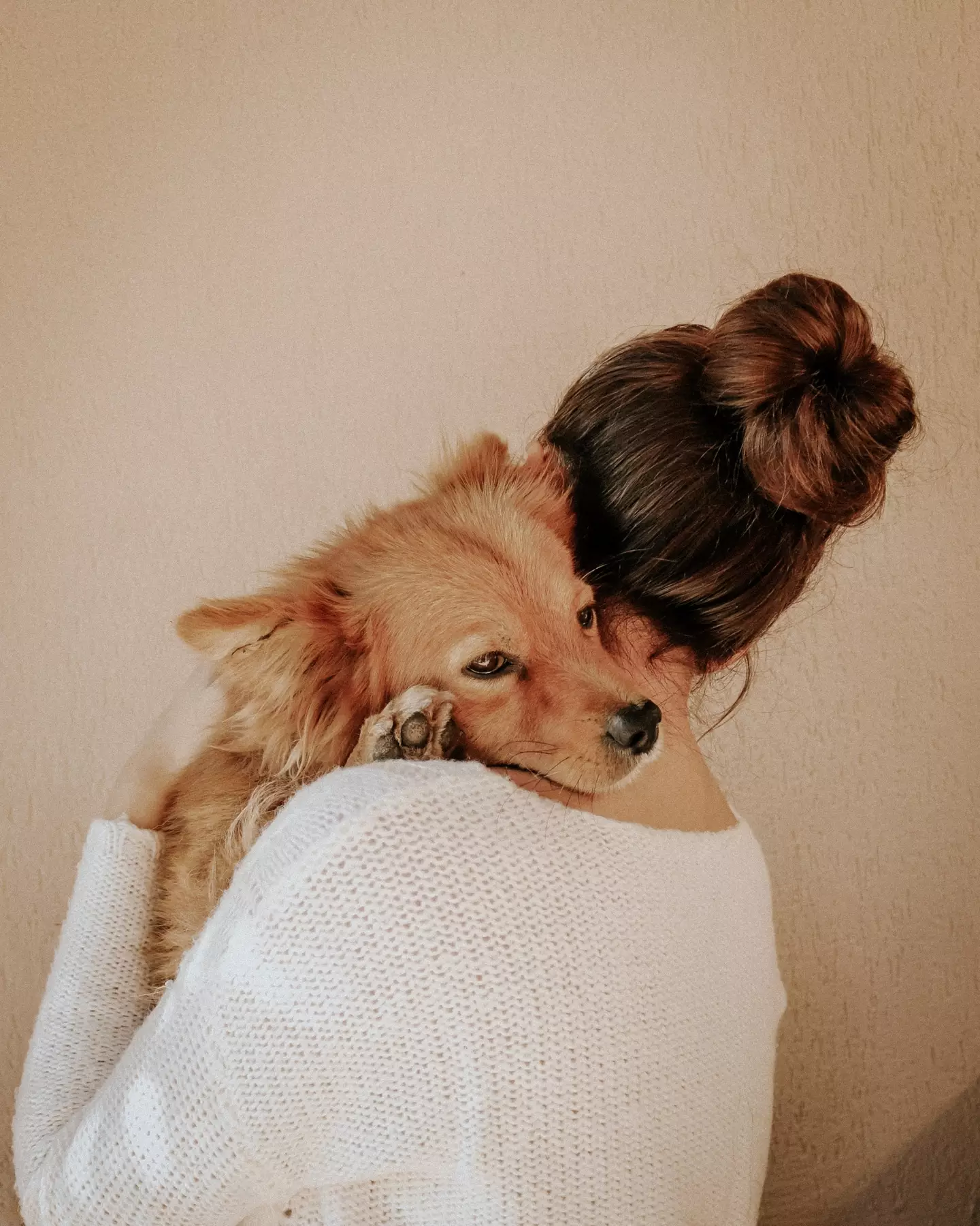 This might make you think twice about hugging your pooch.