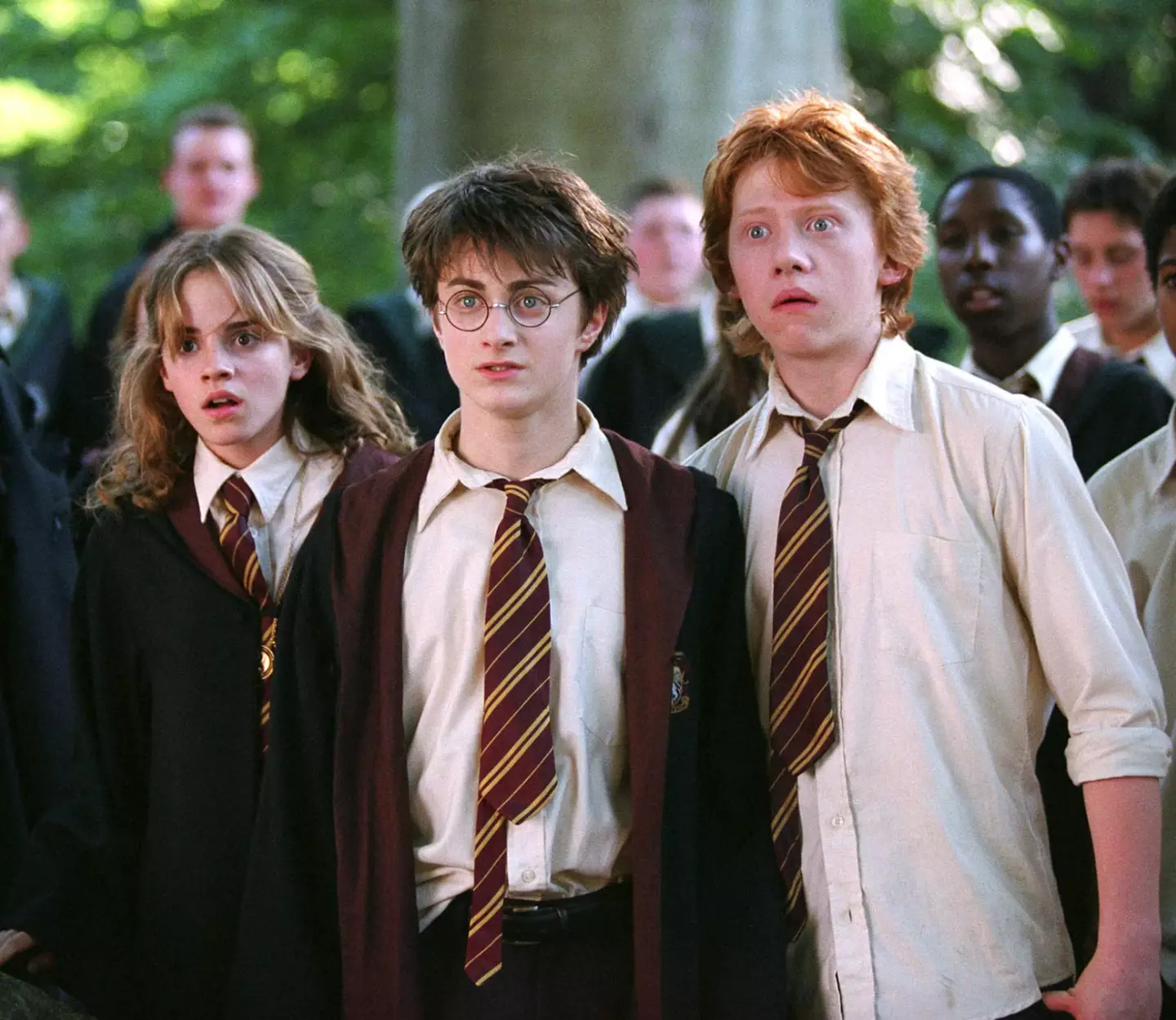 A TikTok has left Potterheads 'screaming and crying' over alternative fan ending.