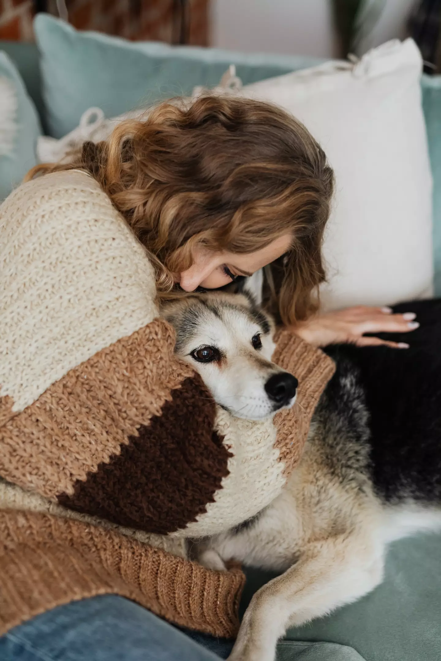 Hugging your dog might make them feel stressed out.