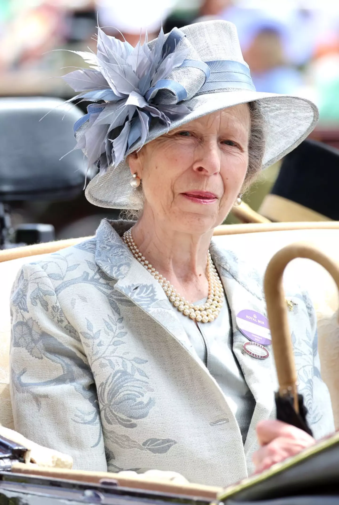 Princess Anne has been hospitalised. (Chris Jackson / Staff / Getty Images)