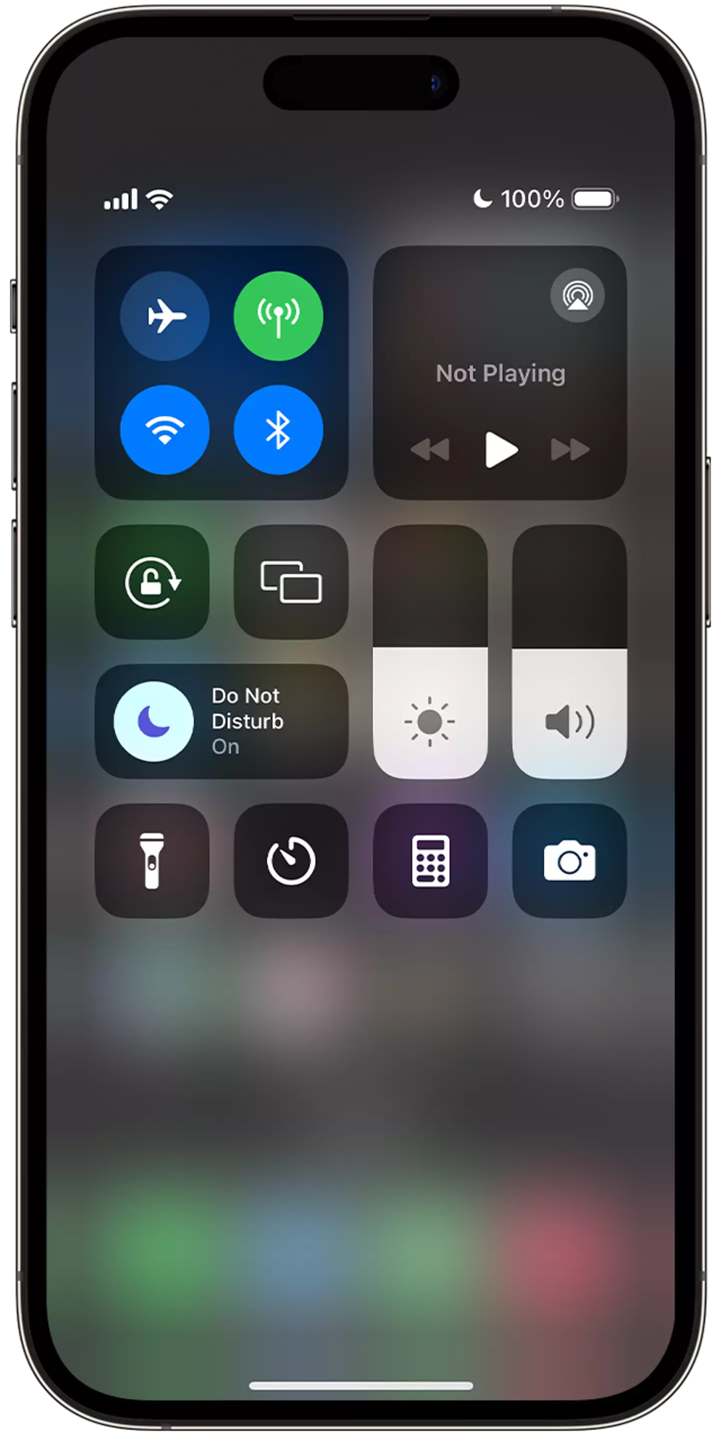 Turning on the feature takes just a second. (Apple)