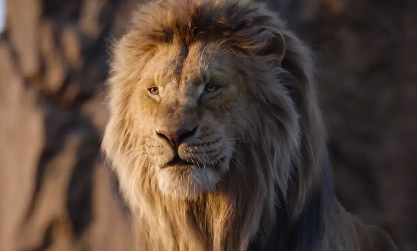 Mufasa: The Lion King will drop in cinemas in December. (Disney)