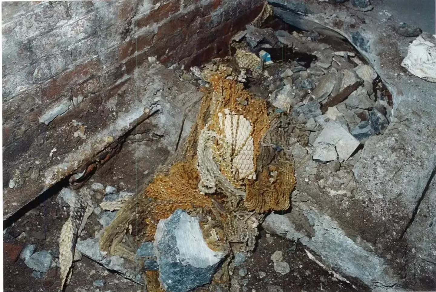 Patricia McGlone's remains were found encased in cement in 2003 (NYPD)
