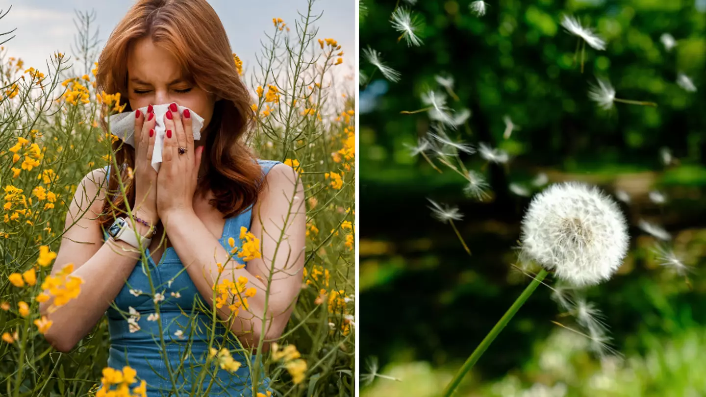 Warning issued to anyone who has hay-fever as huge 'pollen bomb' hits the UK