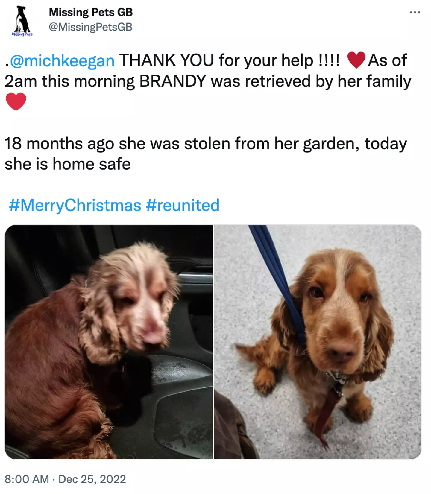 The pup has now been reunited with her family.