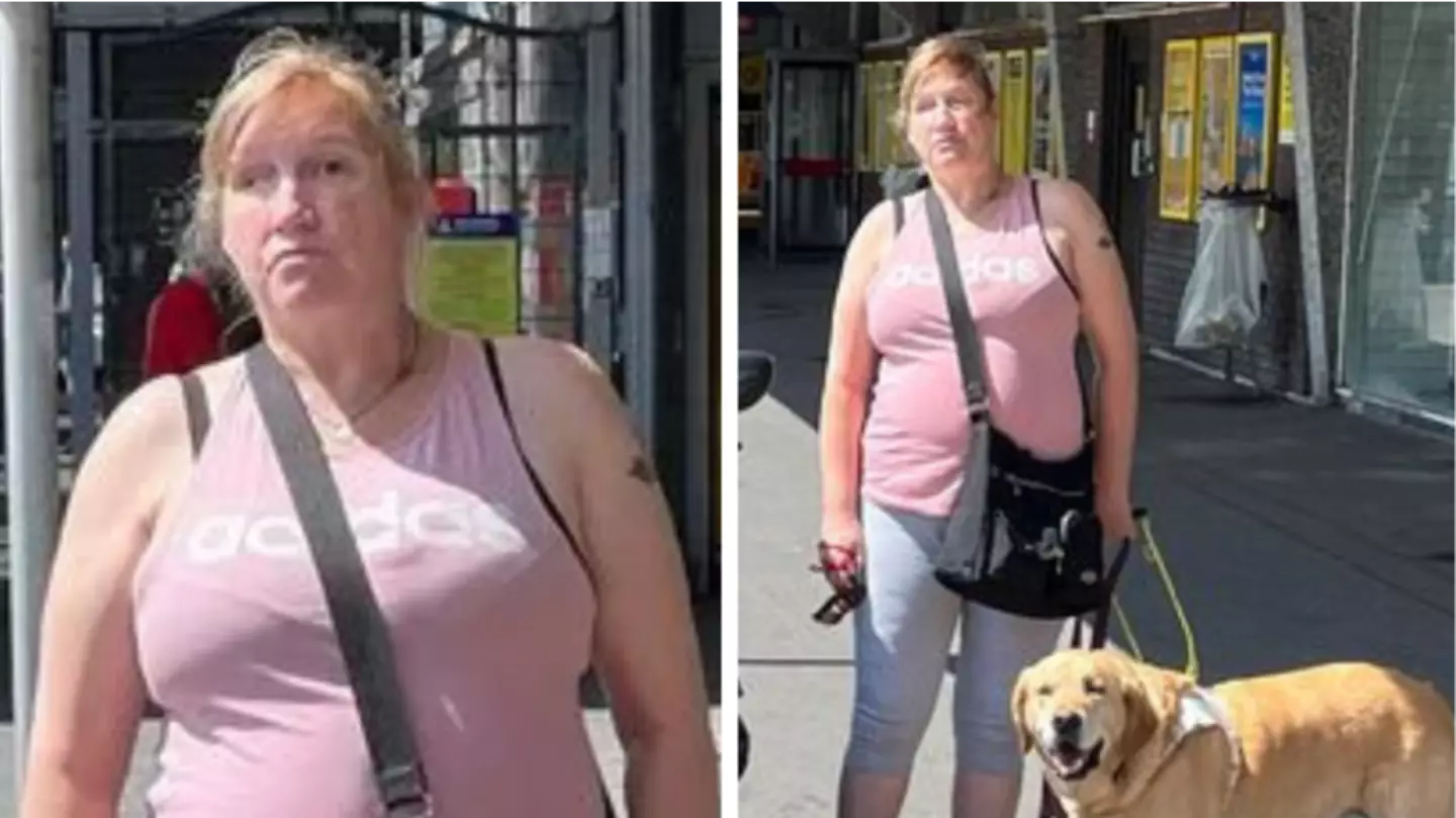 Blind woman forced to walk in the rain after she's 'refused taxi' because of her guide dog
