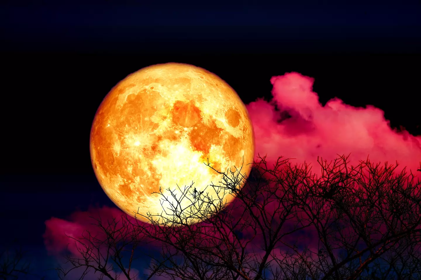 The Moon will bring luck to certain star signs. (Chayanan/Getty)
