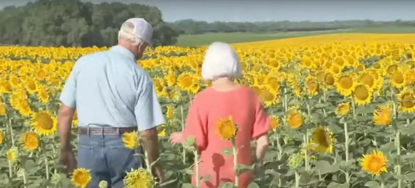 Lee was always going to surprise his wife with sunflowers.