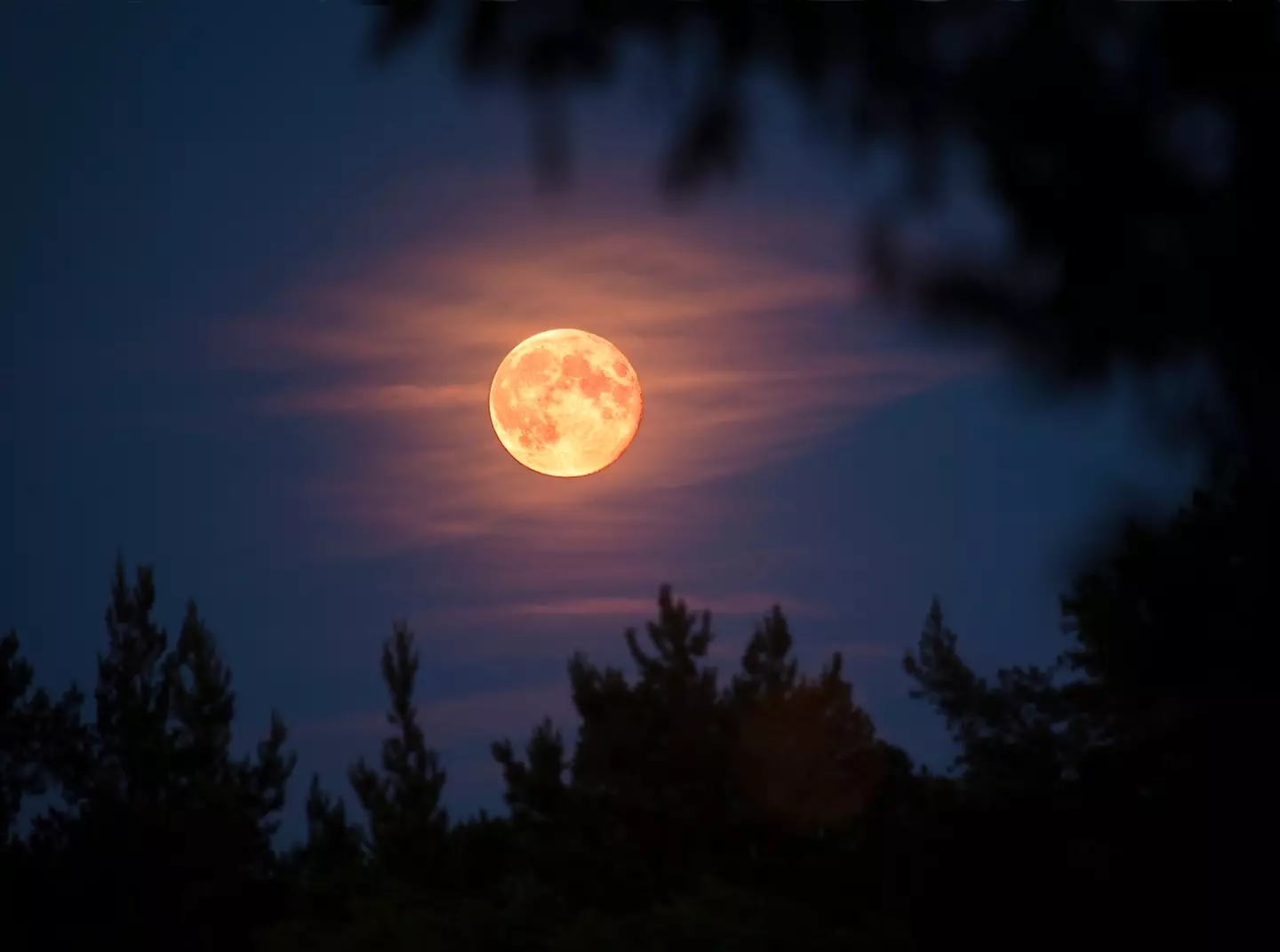 The Moon Illusion will make tonight's full moon appear a whole lot bigger. (Dag Sundberg / Getty Images)