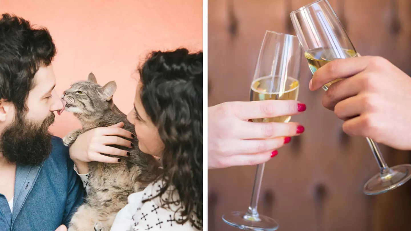 There's a dating event this week where you can pet cats and drink Prosecco