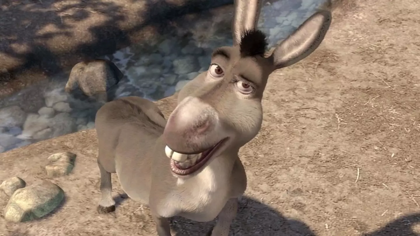 Donkey is set to have his very own spin-off movie. (Netflix)