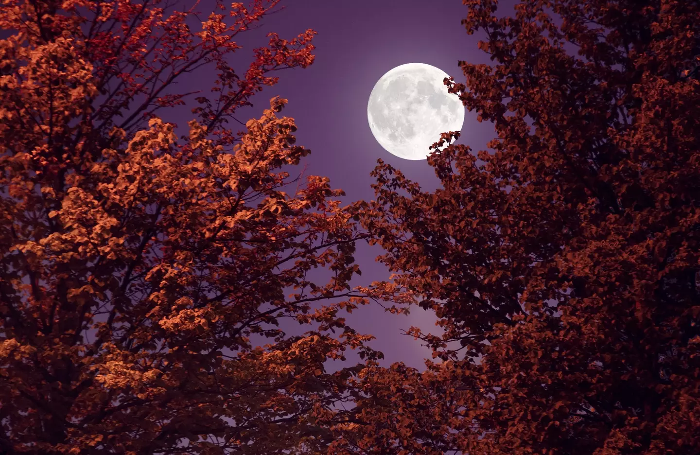 The moon is set to dazzle us this weekend. (Getty Stock Image)