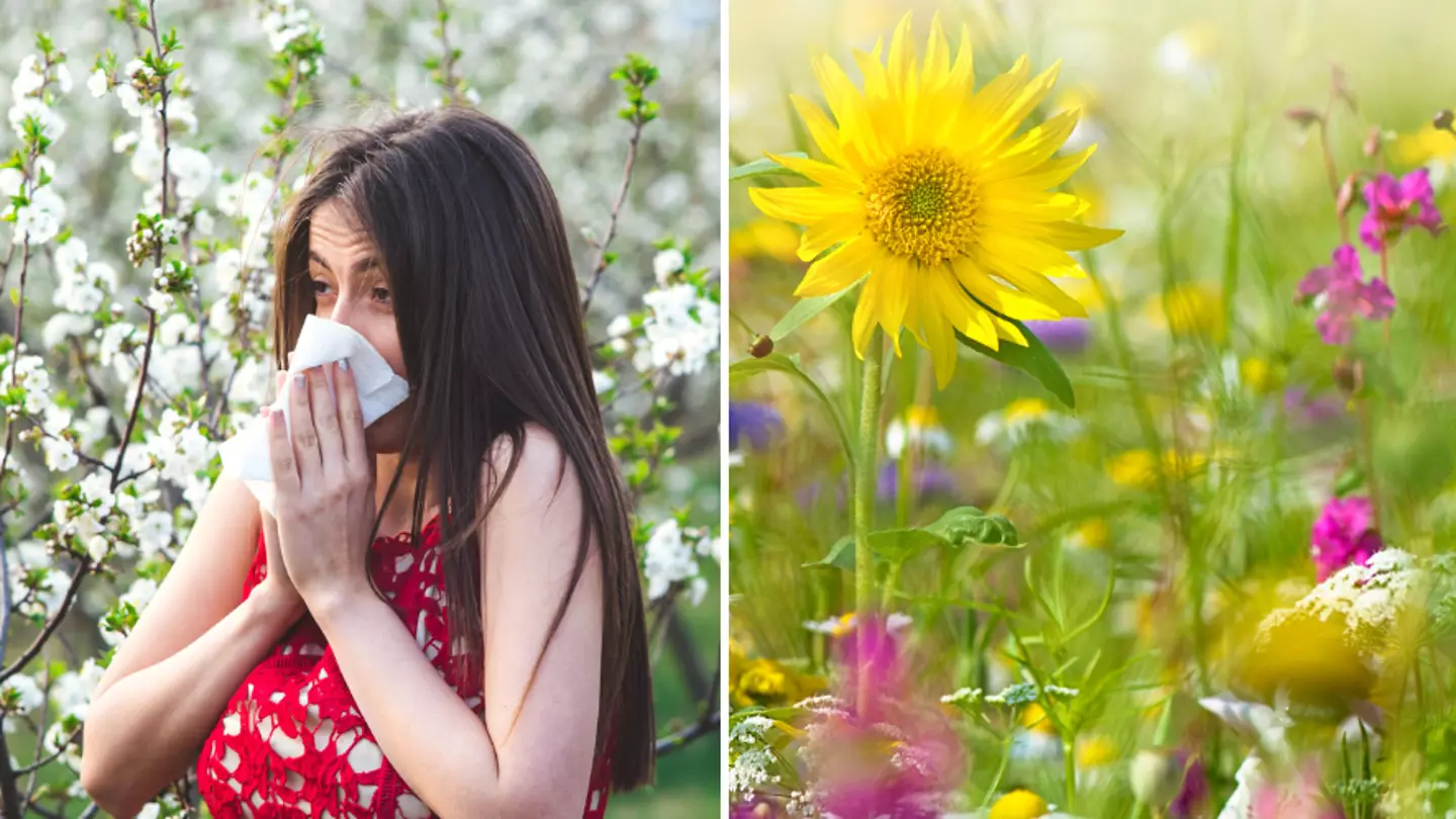 People are sharing unusual hay fever hacks with their diet as UK hit by ‘pollen bomb’