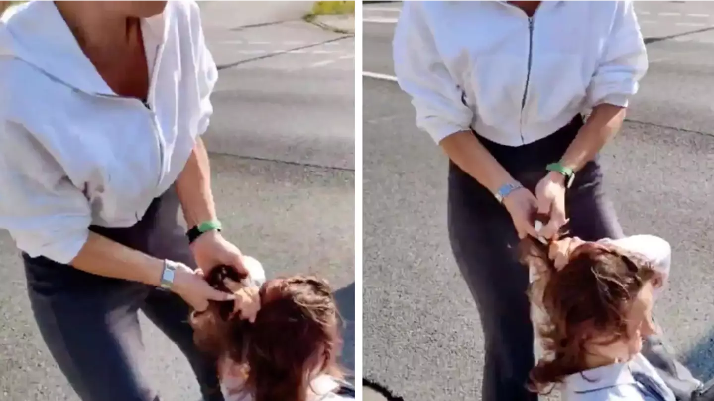 Woman drags climate change protestor by the hair to stop her from blocking road