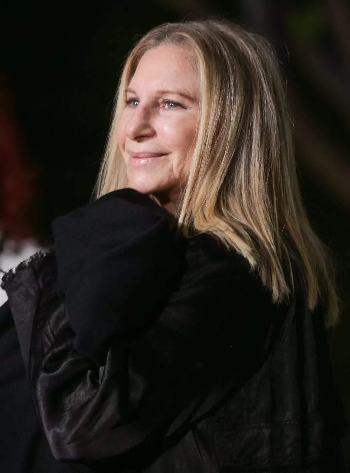 Barbra has come under fire for her comments. (Rich Fury/Getty Images)
