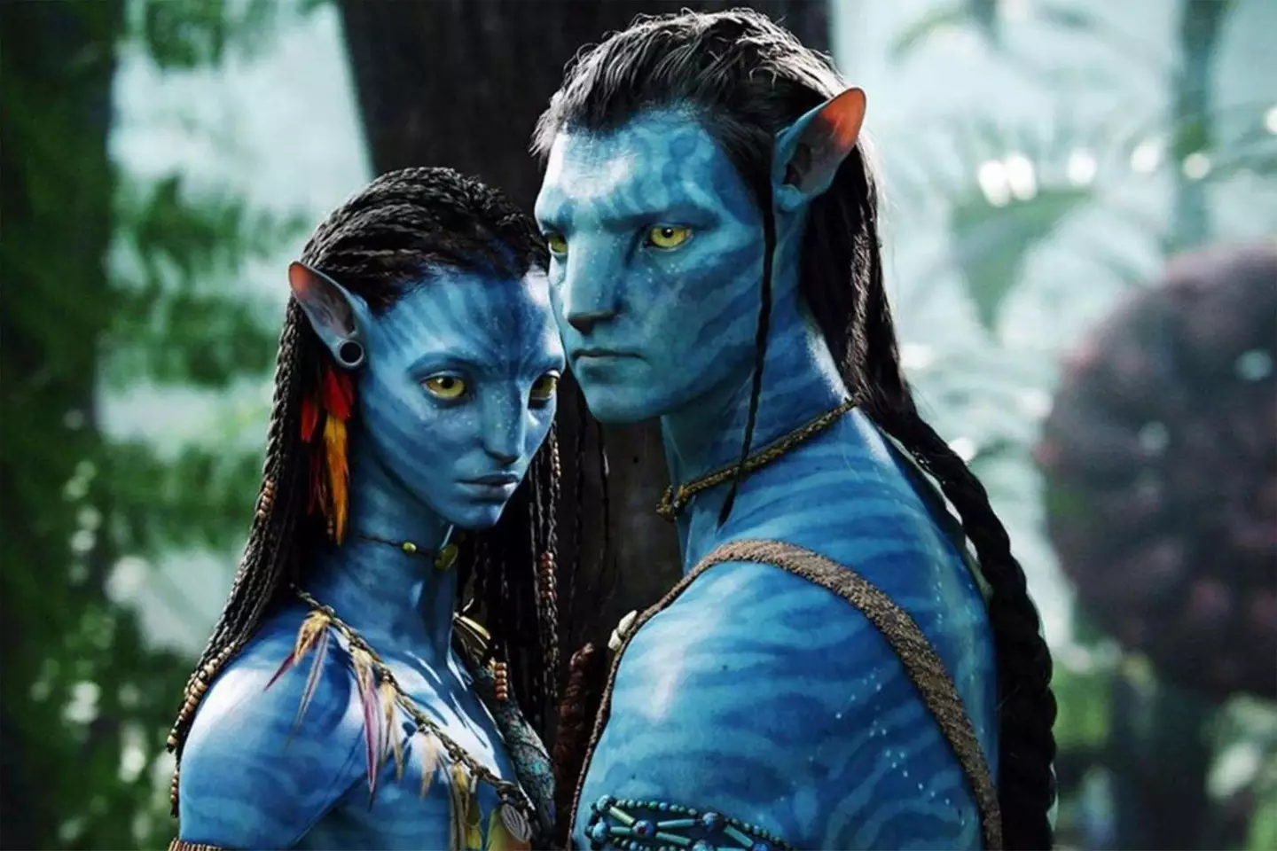 The original Avatar movie was a box office hit, the sequels might not be.
