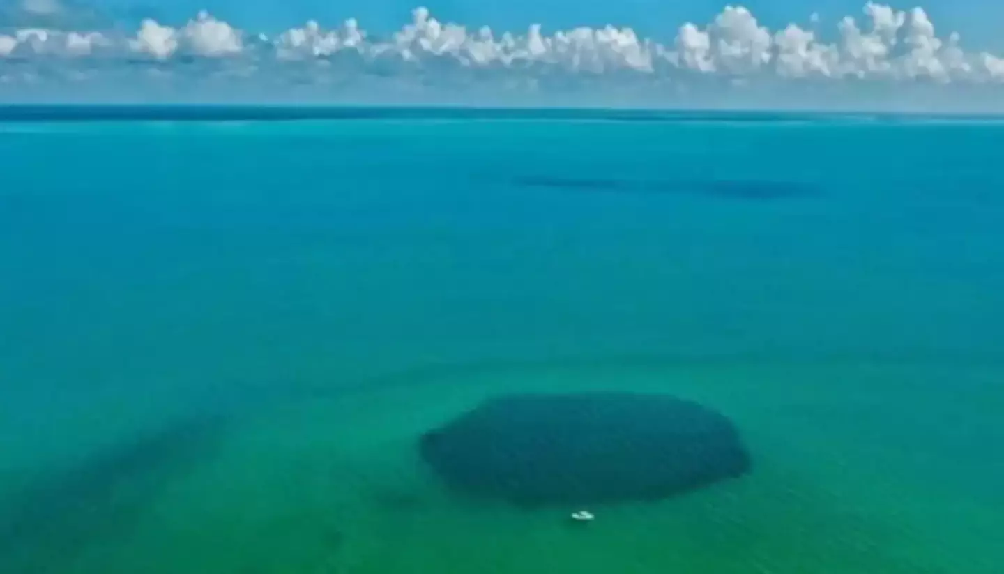 Scientists aren't sure they've even reached the bottom of the world's largest 'blue hole' yet. (Joan A. Sánchez-Sánchez)