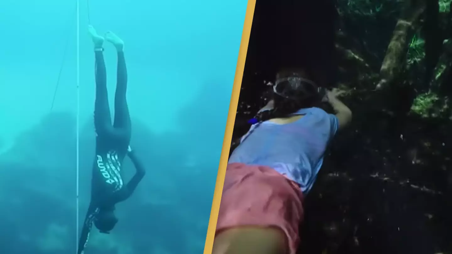 Viewers say they'll never swim again after watching terrifying Netflix documentary The Deepest Breath