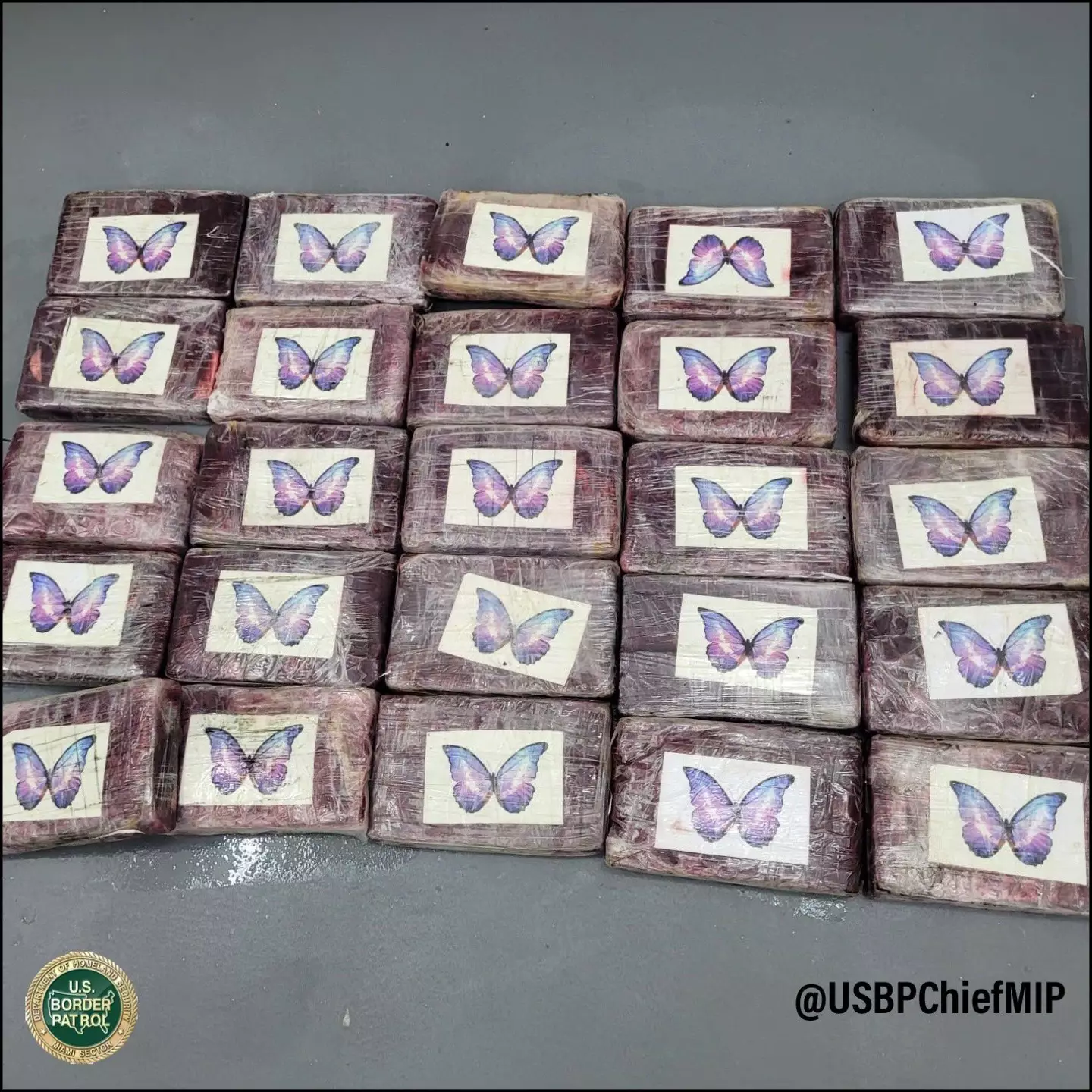 Cocaine seized by the US Border Patrol after being spotted by Tampa Mayor Jane Castor. (US Border Patrol)