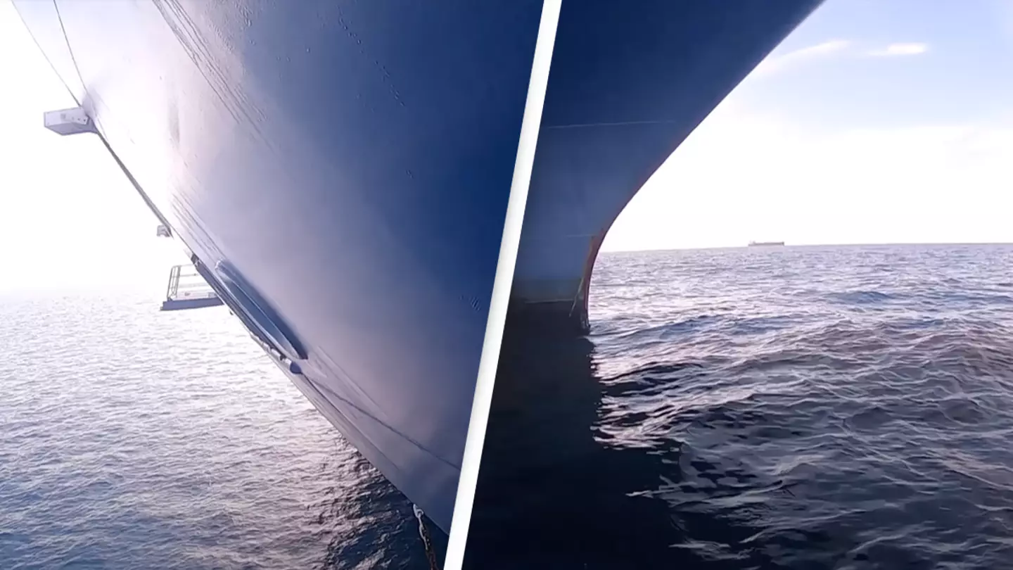 People 'terrified' after man drops GoPro under cruise ship and discovers what's underneath