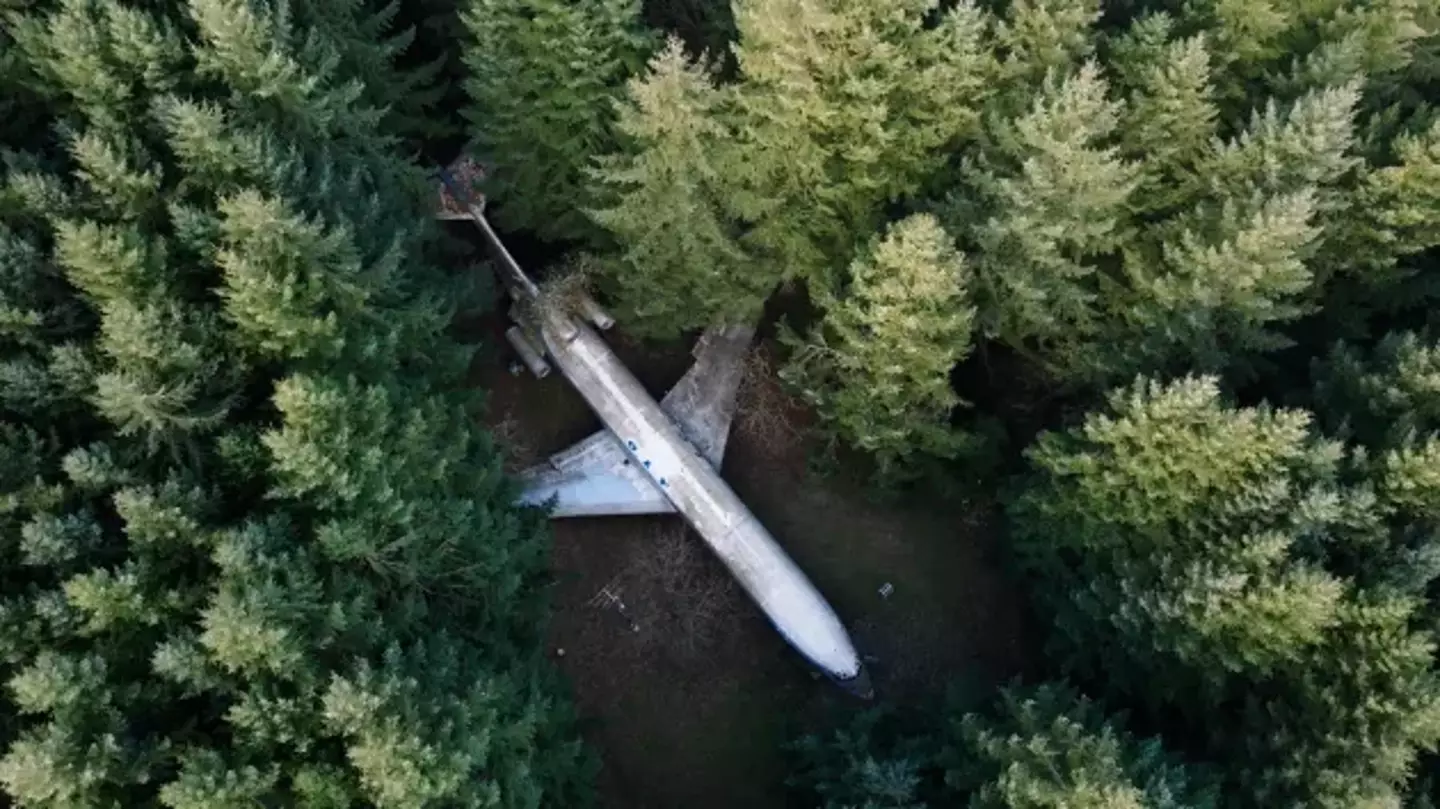 Campbell’s plane is out in the woods.