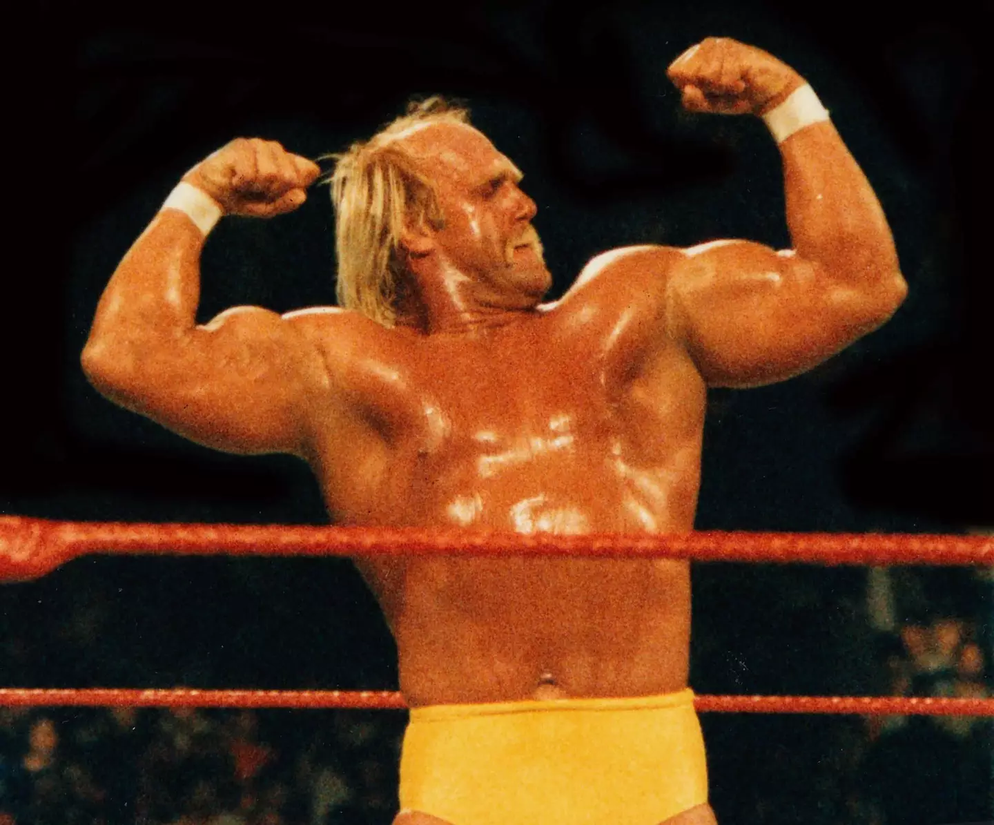 Hulk Hogan (Alamy)