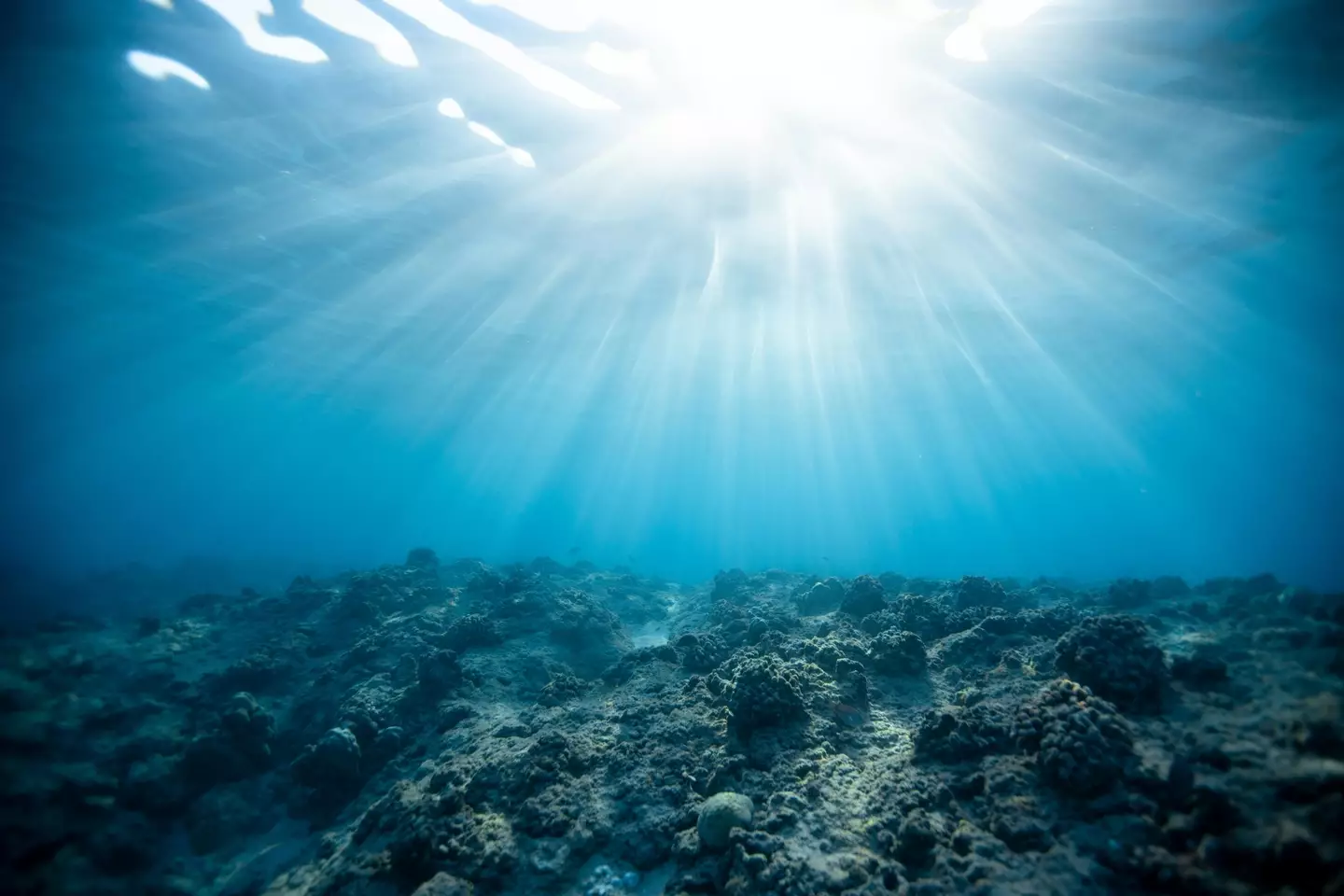 Going too deep underwater can be fatal for humans. (Jeremy Bishop/Pexels)