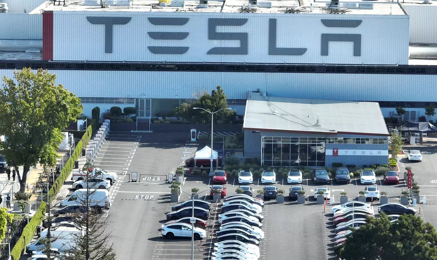 Tesla's cutting back on thousands of jobs at its Fremont factory. (Justin Sullivan/Getty Images)