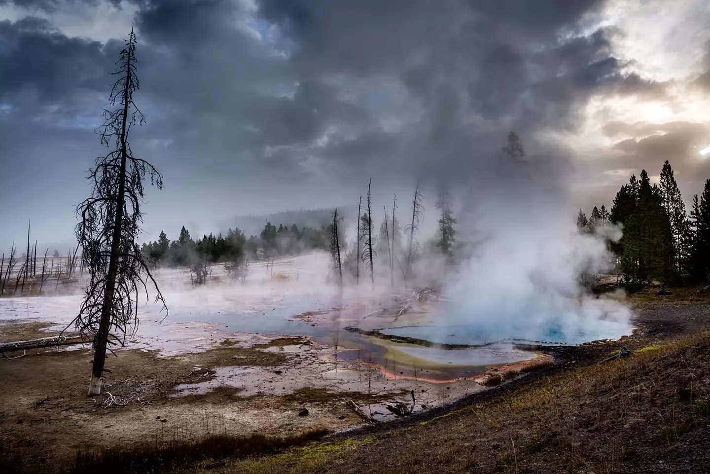 The hot springs in Yellowstone can reach temperatures of 96 degrees Celsius.