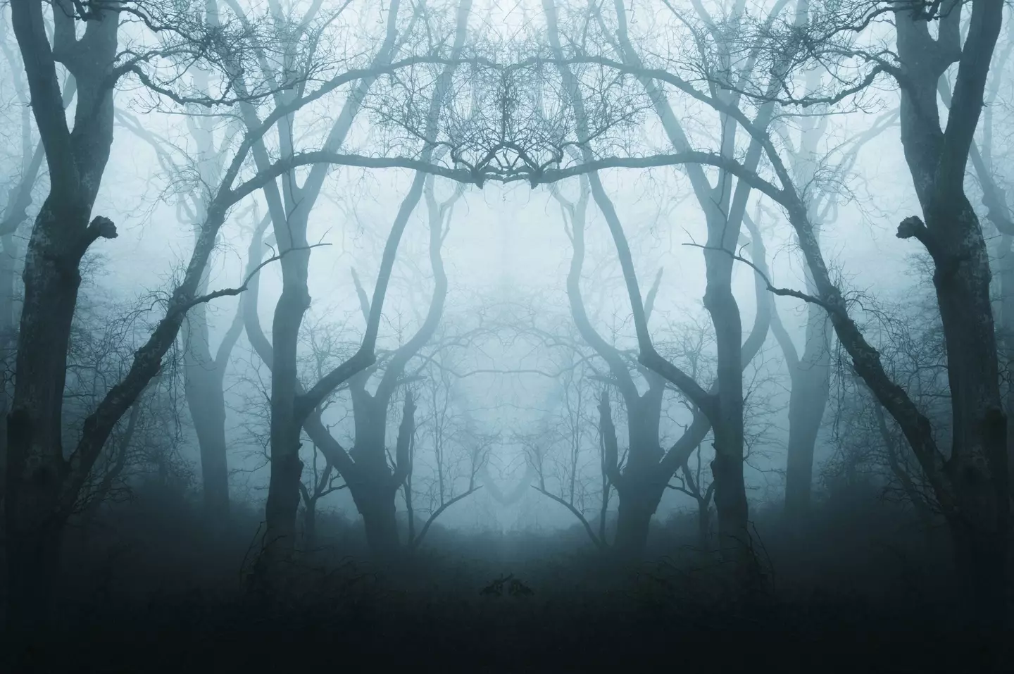 The Unsettling Explanation Of The Dark Forest Hypothesis: Why Aliens  Haven't Made Contact
