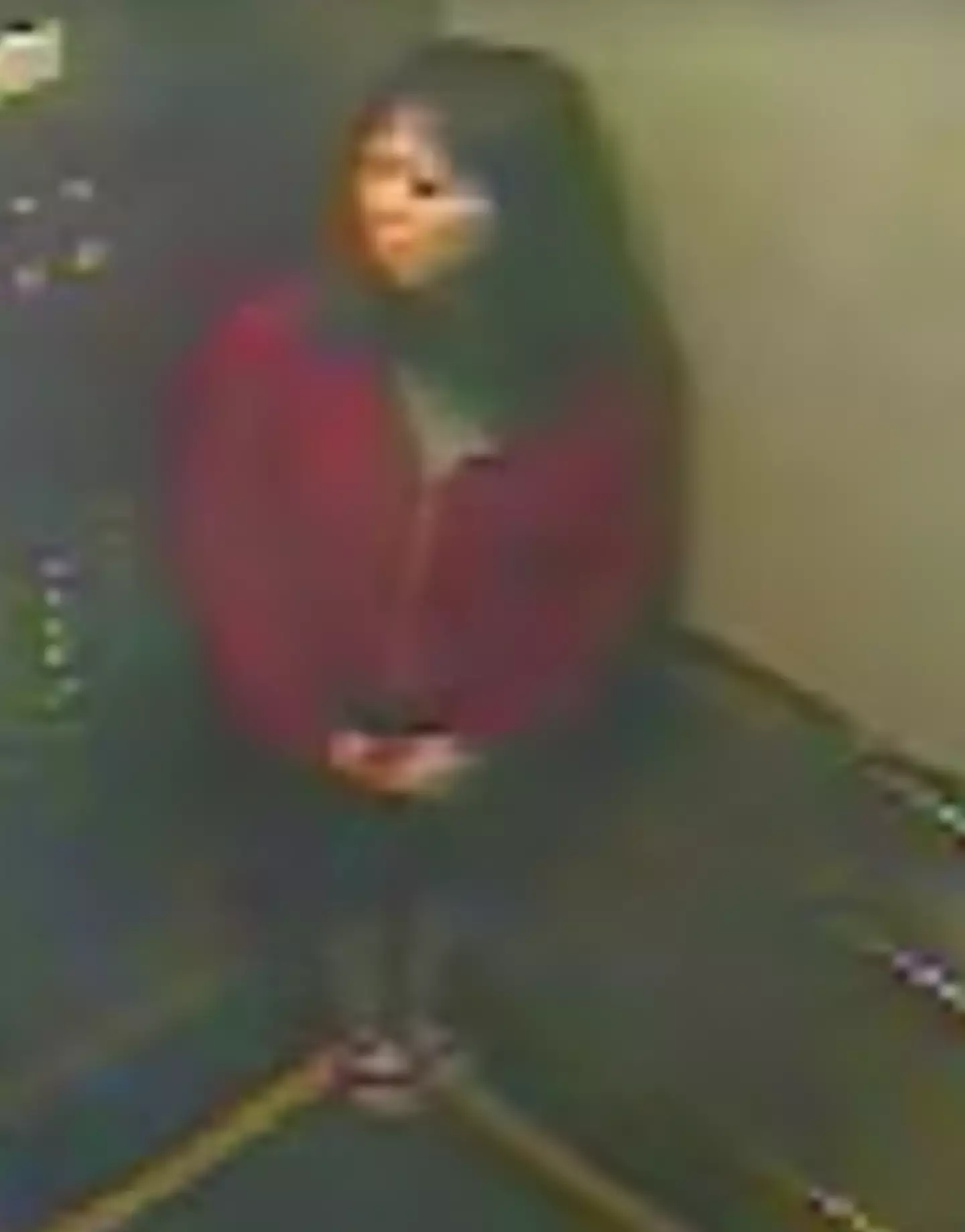 CCTV footage before her disappearance appears to show Elisa talking to someone in the elevator before odd behaviour. (Netflix)