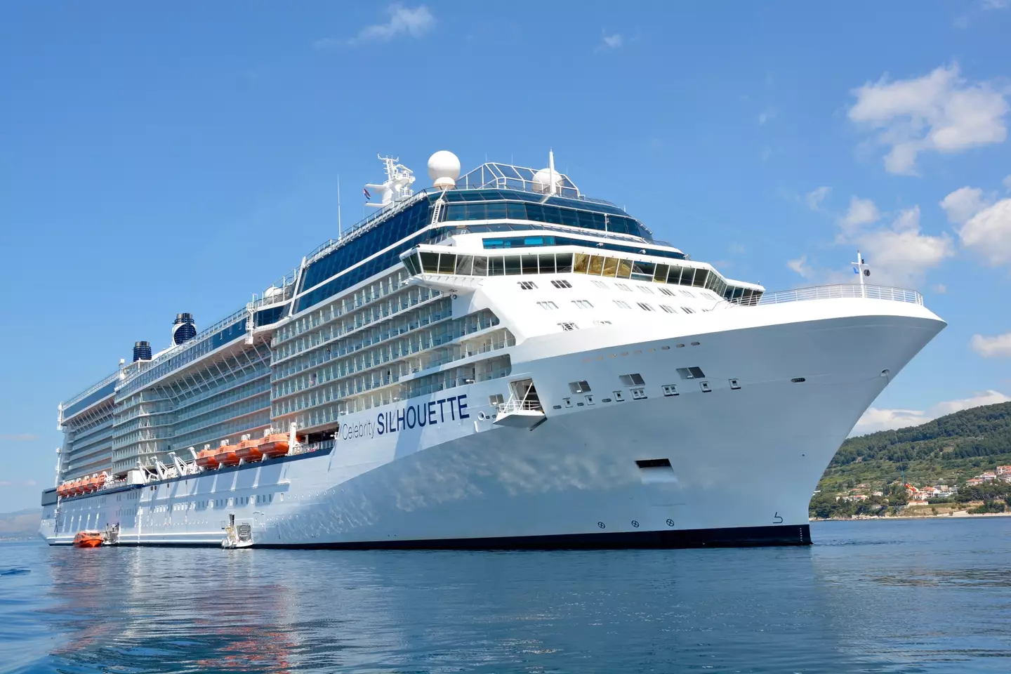 The victim's family are suing the cruise line for $1 million.